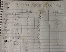 Mucus Cleanse Schedule